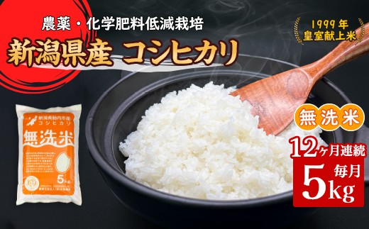 
                  16-M5Z【12ヶ月連続お届け】新潟県胎内市産コシヒカリ【無洗米】5kg
                