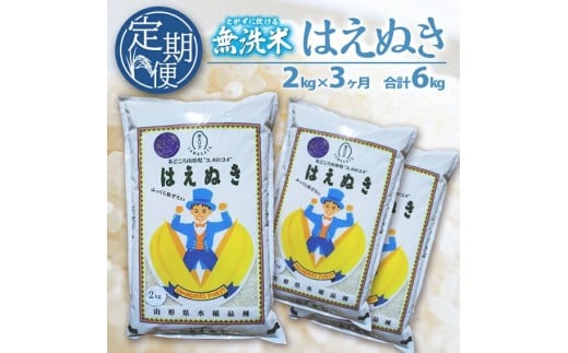 【3回定期便】無洗米 はえぬき　2kg×3回(計6kg) SA SC0620
