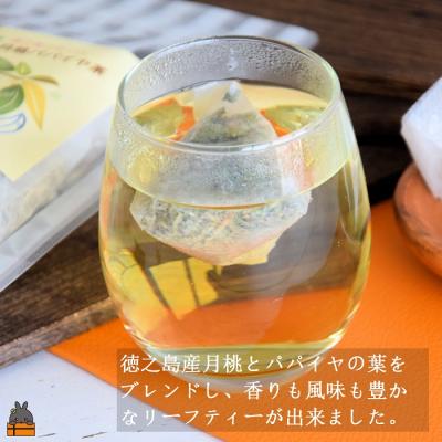 ふるさと納税 徳之島町 徳之島の癒しのリーフティー♪月桃パパイヤ茶(2g×20包) |  | 01