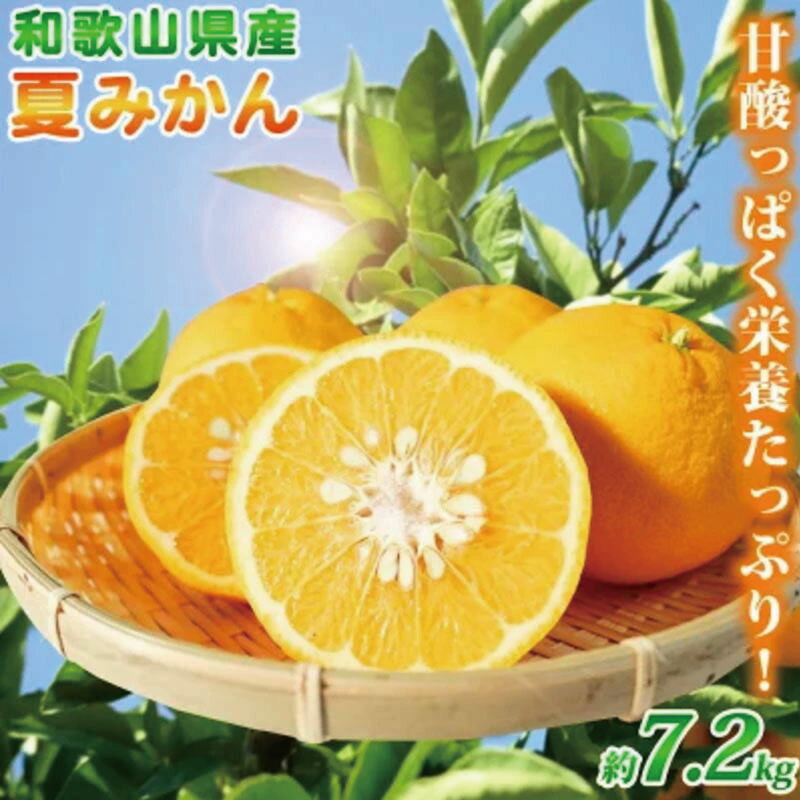 【ふるさと納税】夏みかん 7.2kg【2026年4月中旬頃〜2026年4月下旬頃発送】【先行予約】【UT73】 | 和歌山 由良 取り寄せ お取り寄せ フルーツ お取り寄せフルーツ ご当地 みかん ミカン 蜜柑 柑橘 柑橘類 果物 くだもの 支援 返礼品 特産品