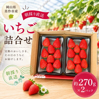 【ふるさと納税】【2026年年内発送】【御歳暮】岡山県美作市産　いちご詰合せ(約270g×2パック)【配送不可地域：離島・北海道・沖縄県】【1782224】