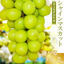 【ふるさと納税】先行予約 2025年産 埼玉県伊奈町産 シャインマスカット 選べる内容量 1.5kg 2.0kg 山岸農園 ブドウ ぶどう 葡萄 果物 フルーツ 数量限定 フルーツ先行予約 令和7年先行予約