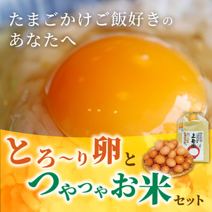 上毛町産の「たまごかけご飯セット」（卵20個・米2kg）（専用醤油なし版） _C01707