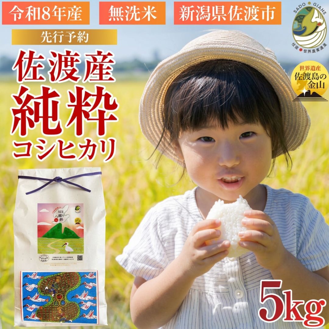 【先行予約】【新潟県佐渡】純粋コシヒカリ＜数量限定＞ 令和７年産 精米【無洗米】5kg 送料無料