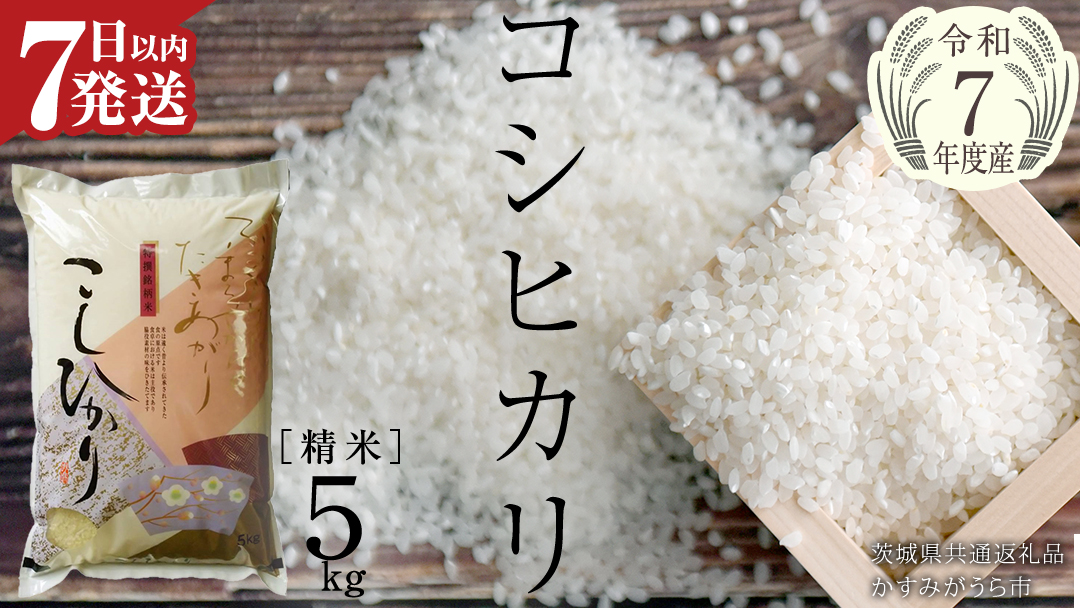 ≪ 令和7年度 新米 ≫ コシヒカリ 精米 5kg ( 5kg × 1袋 ) (茨城県共通返礼品 かすみがうら市産) 新米 米 ごはん もっちり 甘い コメ お米 白米 銘柄米 [EX010sa]