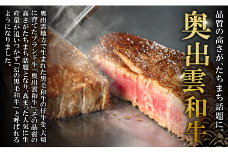 【冷蔵配送】全国大会W受賞！奥出雲和牛サーロインステーキ4枚の定期便×12回 （毎月24日お届け）【牛肉 定期便 サーロインステーキ 170g×4枚 12回 ステーキ 人気 冷蔵 国産 奥出雲和牛 黒
