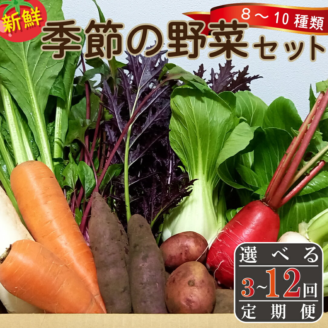 【ふるさと納税】【送付回数選べます】【野菜の定期便】季節の野菜詰め合わせセット　全3回・6回・12回