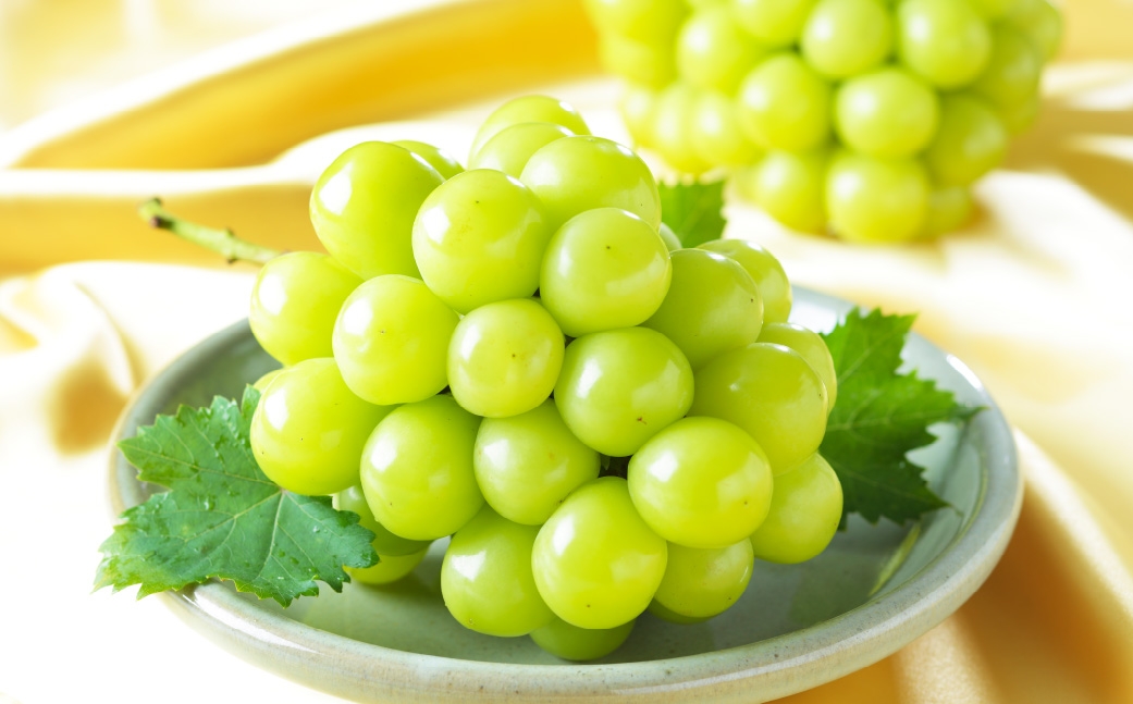 【2026年8月下旬～9月下旬発送予定】岡山県産 シャインマスカット「晴王」とニューピオーネ 2Lサイズ 計約1kg