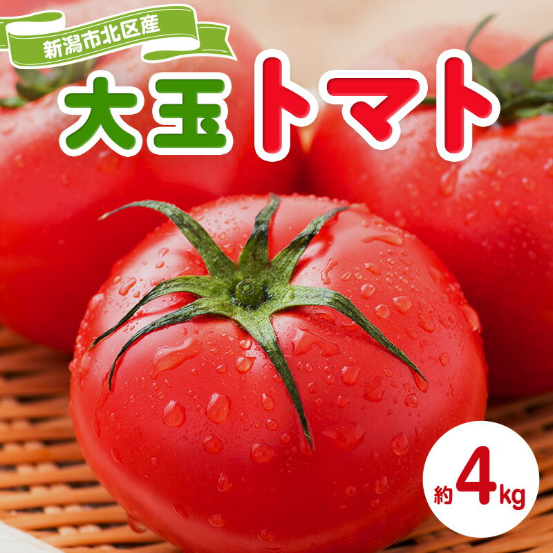 【ふるさと納税】トマト 大玉系 約4kg 23～24玉 （ にごりかわトマト または 豊栄トマト） とまと 野菜 新鮮 産地直送 新潟県産 新潟市産 期間限定 　お届け：2026年6月上旬～6月下旬