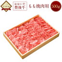 【ふるさと納税】おおいた豊後牛 モモ 焼肉用 500g 牛肉 黒毛和牛 焼き肉 焼肉 大分県産 国産 冷凍 送料無料