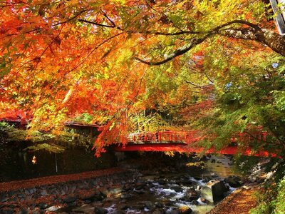 静岡県伊豆市　日本旅行　地域限定旅行クーポン90,000円分（チケット 旅行 宿泊券 ホテル 観光 旅行 旅行券 交通費 体験  宿泊 夏休み 冬休み 家族旅行 ひとり カップル 夫婦 親子 トラベル