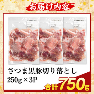 K-429-A ＜訳あり＞鹿児島県産 さつま黒豚切り落とし(計750g)【ふるさと産直バザール】霧島市 部位ミックス 切落し 黒豚 国産 鹿児島県産 肉 精肉 ワケアリ