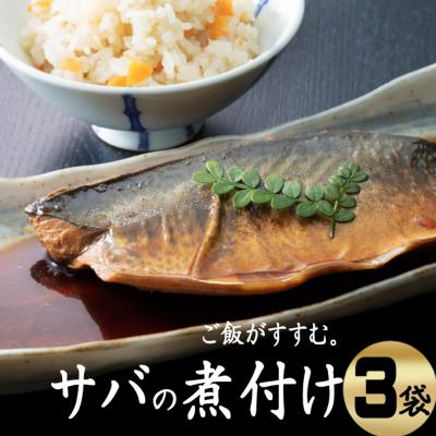 ふるさと納税 室戸市 初音のサバの煮付け【半身×3枚】
