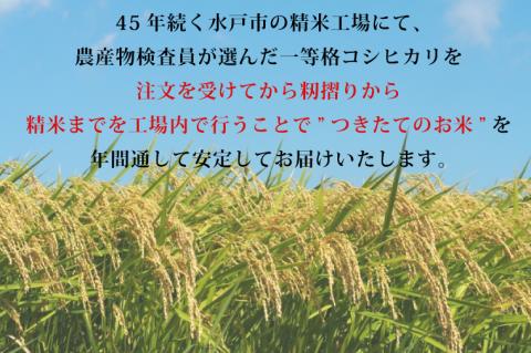 CZ-111　【4ヶ月定期便】【令和5年産】茨城県産コシヒカリ 宝蔵米 10kg×4回