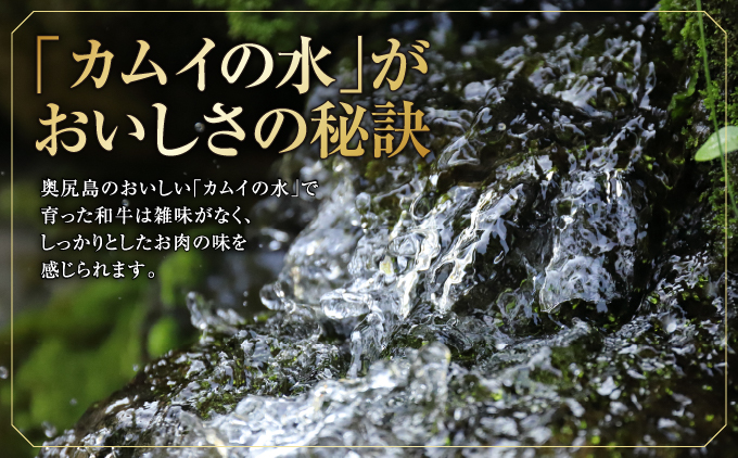 【希少!!黒毛和牛】おくしり和牛 サーロインステーキ 200g×2枚 | 北海道 奥尻町 送料無料