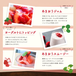 【2025年4月-10月発送】 あまおう 1kg 冷凍 いちご 冷凍 ｱｲｽ いちご あまおう いちご ｼｬｰﾍﾞｯﾄ いちご ONE004
