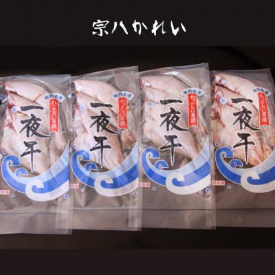 ふるさと納税 稚内市 【 北海道 の 居酒屋 気分!】 一夜干し 宗八 カレイ 4パックセット 稚内 |  | 03