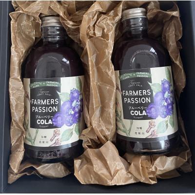ふるさと納税 豊川市 【豊川市】完熟ブルーベリーのクラフトコーラ2本セット |  | 01
