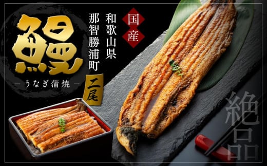 
国産活鰻を地元の醤油で仕上げた絶品のうなぎ蒲焼(2尾）
