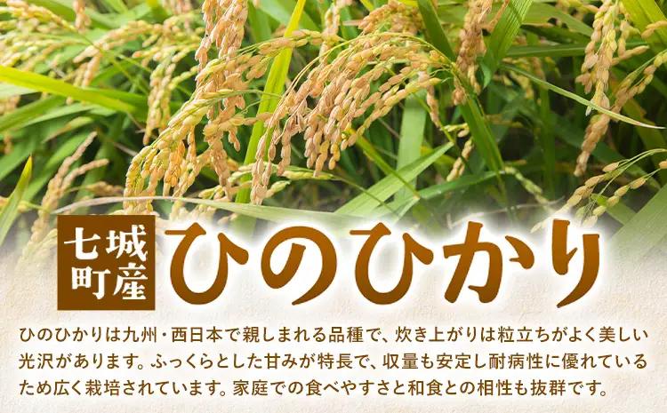 令和7年産 有機JAS 七城産ひのひかり 無洗米 4kg 渡辺農産熊本県 菊池市 米 お米 精米 ひのひかり 《30日以内に出荷予定(土日祝除く)》菊池市産 熊本県産 九州産 送料無料