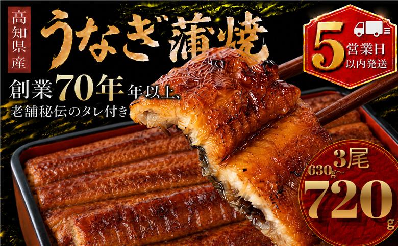 【スピード発送】 高知県産 うなぎ 蒲焼 3尾 | 国産 日本産 うな重 鰻 ウナギ 有頭 蒲焼き かばやき 土用丑の日 土用の丑の日 丑の日 魚 高級 贅沢 特別 老舗 初音 釜めし初音 鰻蒲焼 タ