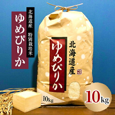 【ふるさと納税】【先行予約】特別栽培米 令和7年産北海道産ゆめぴりか 10kg精米【1206357】