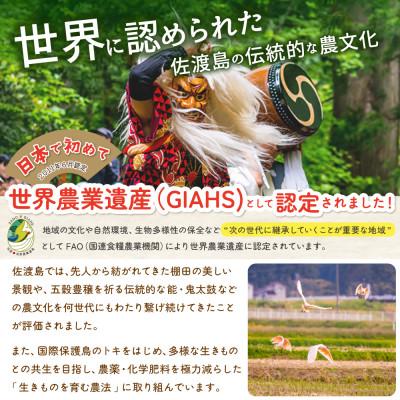 ふるさと納税 佐渡市 佐渡島産コシヒカリ 達者棚田米 白米4Kg(2Kg×2袋)【令和7年産】 |  | 03
