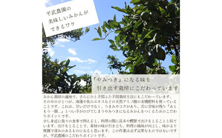 農家直送！きよみオレンジ 5kg 訳あり≪サイズ混合≫［平武農園］～蛍飛ぶ町から旬の便り～［2026年3月下旬から順次発送予定］