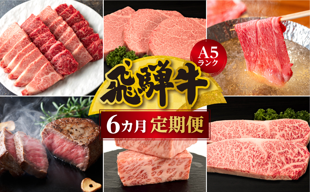 【定期便6ヶ月】 A5ランク肉 飛騨牛 定期便 約2.6kg(360g以上×6ヶ月) 牛肉 ( 焼肉 すき焼き しゃぶしゃぶ ステーキ 肩ロース ヒレ サーロイン もも バラ ) | 食べ比べ A5  人気 牛肉 飛騨牛 定期便 おすすめ 牛肉 定期便 肉 和牛 焼肉 すき焼き 牛肉 しゃぶしゃぶ ステーキ 定期便 牛肉 人気 高山市 飛騨高山 ながせ食品 FH101