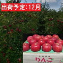 【ふるさと納税】12月発送 蜜入り 最高等級「特選」大玉 葉とらず サンふじ 約5kg 糖度14度以上 【弘前市産・青森りんご】　果物類・林檎・りんご・リンゴ・サンふじ・フルーツ・最高等級・約5kg　お届け：2024年12月1日～2024年12月30日