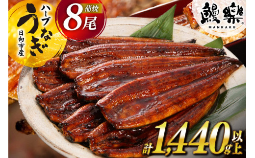 うなぎ 蒲焼 ハーブうなぎ 8尾 計 1440g 以上 ［鰻楽 宮崎県 日向市 452061245］うなぎ 鰻 ウナギ 蒲焼き 蒲焼 うなぎ蒲焼き 鰻蒲焼き ハーブうなぎ ハーブ鰻 国産 日向市産 ふっくら ジューシー 化粧箱 うなぎ ウナギ 蒲焼き 蒲焼 ふるさと納税 ◇