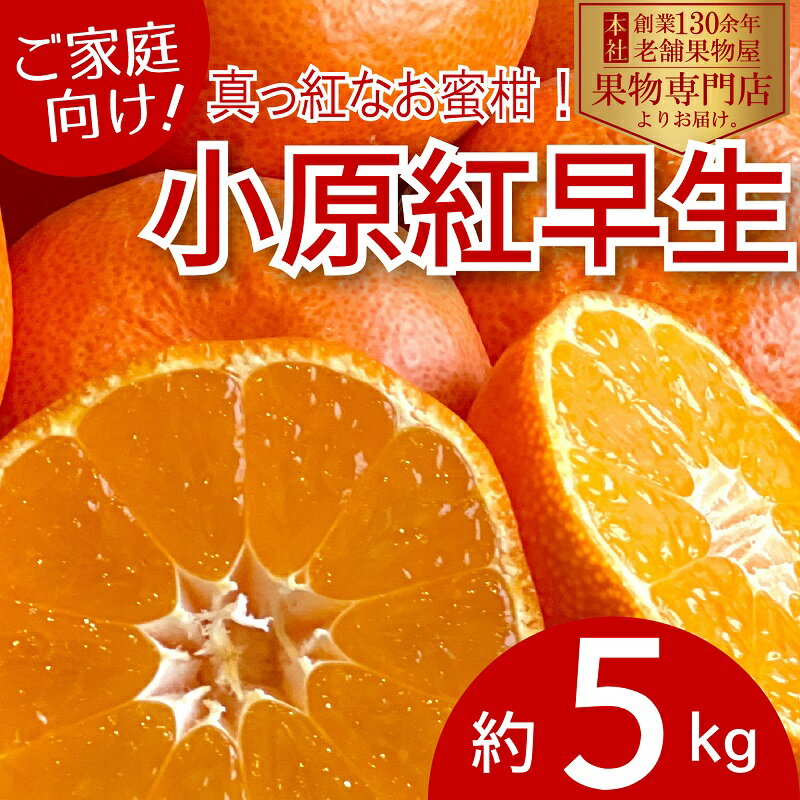 【ふるさと納税】【2025年11月中旬より順次発送】ご家庭用！真っ赤なみかんの小原紅早生　約5kg 果物 フルーツ 柑橘 デザート おやつ 食後 国産 日本産 産地直送 香川オリジナル品種 食べ物 　お届け：2025年11月中旬～2026年1月下旬
