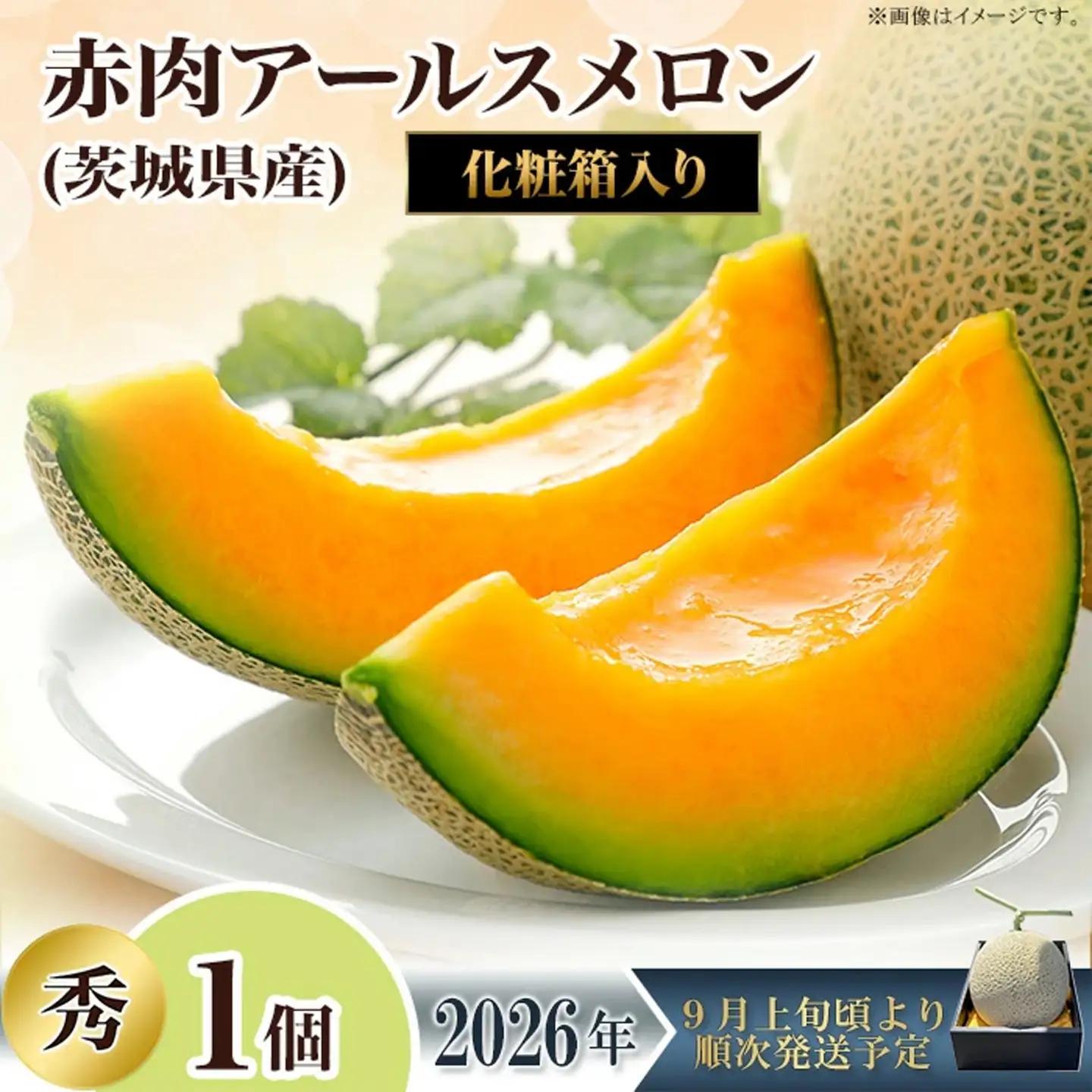 メロン 赤肉 茨城県産 R8年産 アールスメロン 秀品 1個