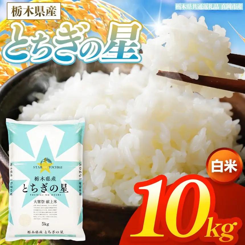【令和8年産 新米】 栃木県産 お米 とちぎの星　（白米） 10kg 【2026年秋以降発送】 |  栃木県 矢板市 【栃木県共通返礼品 真岡市産】