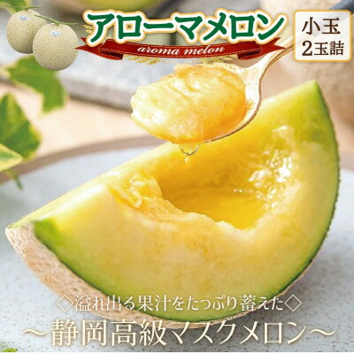 【ふるさと納税】【通年出荷】アローマメロン(小玉)　2玉入【静岡高級マスクメロン】_ メロン めろん アローマメロン 化粧箱 2玉 小玉 果物 くだもの フルーツ デザート 甘い 贈答 ギフト プレゼント 産直 産地直送 静岡県 送料無料 【1447109】