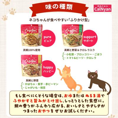 ふるさと納税 西予市 CalNyan(カルニャン)2個> 国産 詰合わせ 1袋約60g  猫 ペット |  | 03