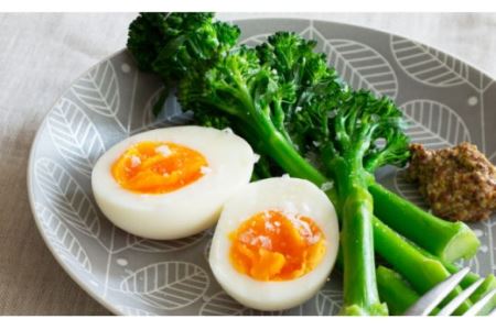 【波佐見焼】フォレッジビスク プレート 4色セット 食器 皿 【西山】【NISHIYAMAJAPAN】 [CB24]  波佐見焼