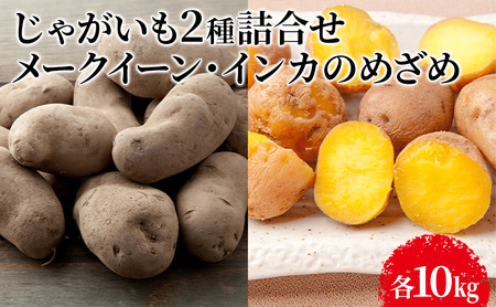 先行予約 じゃがいも2種 メークイン・インカのめざめ各10kg