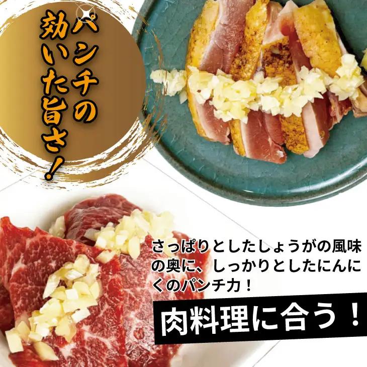 万能 薬味 調味料 「刻んだしょうがとにんにく少々 80g 」（10袋） 薬味 B130-078