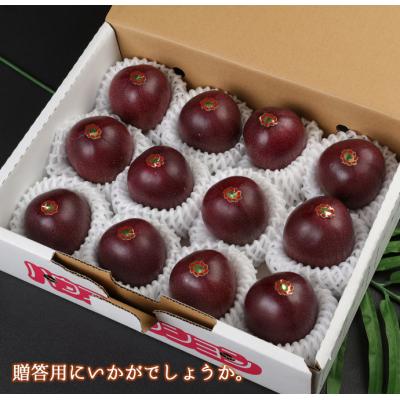 ふるさと納税 天城町 【2027年配送】先行受付 徳之島 天城町 パッションフルーツ A品1kg 贈答 トロピカルフルーツ |  | 01