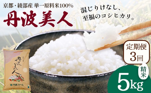 【定期便3回】 丹波美人 白米 5kg×3回 | 米 お米 こしひかり 白米 精米 ごはん おこめ 国産 お米の定期便 京都府 綾部市
