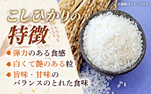 新米 先行受付 令和8年産 『こしひかり』『ひとめぼれ』 10kg (各5kg×1袋ずつ) 米 お米 白米 コメ こめ 食べ比べセット コシヒカリ ひとめぼれ 先行予約 2026年 人気 家計応援 単