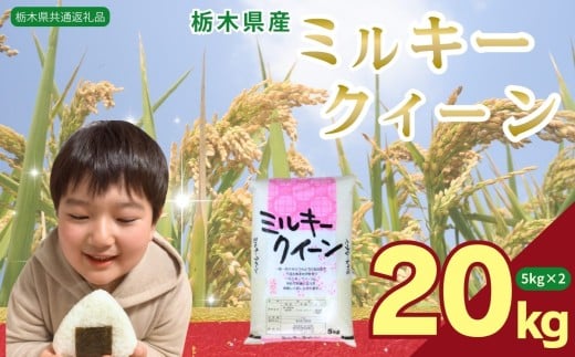 ミルキークイーン 20kg（5kg×4袋）| 米 こめ コメ kome 白米 精米 お米  みるきーくいーん ﾐﾙｷｰｸｲｰﾝ Milky queen ミルキークイーン もちもち モチモチ ふっくら もち米風 炊き込み 栃木米 令和7年度米 令和7年度 2025年度米 2025年度 ブランド米 栃木県 特産品 送料無料 【栃木県共通返礼品】 栃木県 下野市 しもつけ市