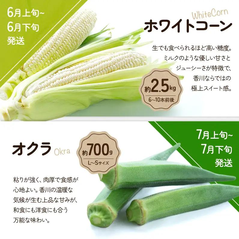 旬のさぬきの野菜定期便（5回）　野菜 定期便 旬 新鮮 食べごろ 季節 ブロッコリー アスパラ ホワイトコーン オクラ ミニトマト 香川県 東かがわ市