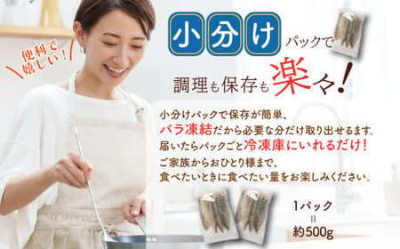 訳あり 塩アジフィーレ 約1kg 【 アジ 】 大一奈村