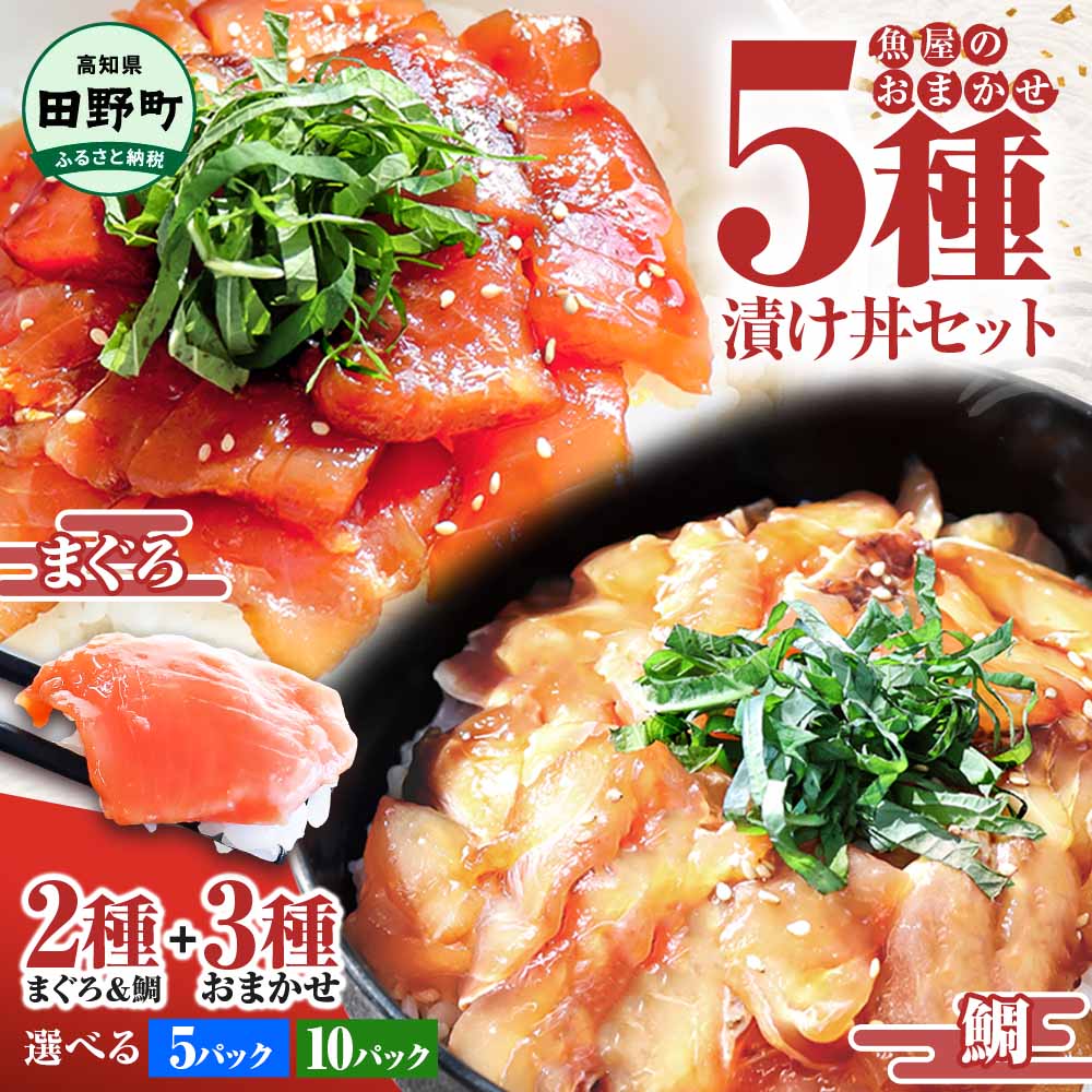 【ふるさと納税】訳あり 漬け丼 5種 80g×5P セット 6000円 10000円 おまかせセット マグロ 鯛 おまかせ3種 鮪 鯛 詰め合わせ 海鮮丼 海鮮丼の具 漬け どんぶり 丼 漬けマグロ 海鮮 漬け魚 個食 個包装 小分け 海鮮丼セット 冷凍 高知県 食べ比べ 保存食 一人暮らし 魚