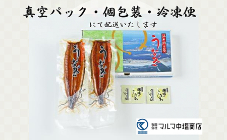 うなぎ 国産 マルマ 長蒲焼 2尾 合計200g以上 たれ うなぎ
