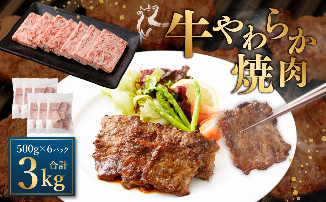 
            牛やわらか焼肉 500g×6パック 計3kg 焼肉 焼き肉 牛 肉牛 冷凍 熊本県 あさぎり町
          