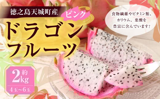 【2026年発送】徳之島 天城町産 ドラゴンフルーツ ピンク 約2kg トロピカルフルーツ AJ-5-N フルーツ 果物 果実 ピタヤ