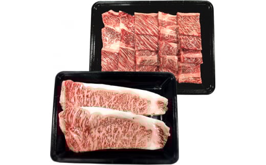 南信州牛 サーロインステーキ360g（約180g×2枚）、肩ロース焼肉(350g) セット | サーロインステーキ 肩ロース ロース サーロイン 肉 焼肉 すき焼き 牛肉 お肉 信州 南信州 送料無料 ふるさと納税 長野県 飯田市 J05